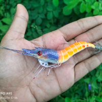 squid jig umpan cumi egi rs-01 2.5