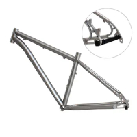 Titanium Alloy MTB Bike Frame with Disc Brake, Modified Bicycle, Mountain Bike Accessories, 26, 27.5, 29er
