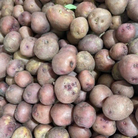300g pink potato mini Kentang pink mini size kecil