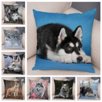 Pet Siberian Husky Dog Pillow Case Covers Decor Animal Cushion Cover for Sofa Home Super Soft Short Plush Pillowcase 45*45cm