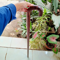 tongkat jalan kayu kalimosodo payung premium S96
