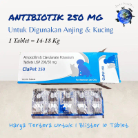 Clapet 250 Antibiotik Kucing Anjing Atasi Luka / Infeksi Kulit / Abses / Pyoderma (10 TABLET)
