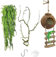 Crested Gecko Coconut Hide with LadderReptile Natural Coco Shell Ladders Geckos Hideout Hut Lizards 