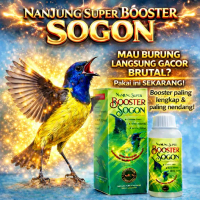 SOGON SUPER BOOSTER - PENGGACOR SOGON - DOPING SOGON - VITAMIN SOGON - SUPLEMENT SOGON - OBAT SOGON 