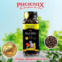 PHOENIX BLACK MILLET Pakan Pelengkap Biji Millet Hitam Berkualitas