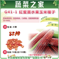 【蔬菜之家】G41-1.紅蜜寶水果玉米種子(有藥劑) (共2種規格可選)