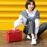 楓林宜居 可印制LOGO一件代發韓版化妝箱14寸時尚豎條化妝包手提包