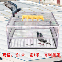 捕鴿神器天落籠只進不出鴿子籠自動跳門撞門籠鴿子用品用具新款