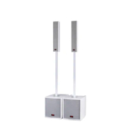 Professional Audio Wireless Blue tooth USB FM Active Line Array DSP Column Speaker