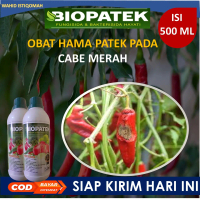 500 ML BIOPATEK obat layu pusarium pada cabe terbaik - obat layu bakteri pada cabe paling laris dan