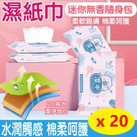 【20入】純水 濕紙巾 低敏不刺激濕紙巾 隨身包 ( 10抽/包 )
