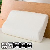 【NITORI 宜得利家居】乳膠枕 波型枕 頭部支撐(乳膠 波型 枕頭 枕芯)