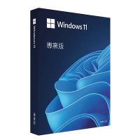 微軟 Microsoft Windows 11 Pro 專業版盒裝