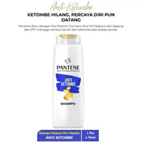 Pantene Pro-Vitamin Shampo Botol 70ml Anti Dandruf