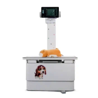 Digital x-ray machine veterinary animal x ray radiology machine 20KW with flat panel detector for vet hospital