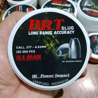 brt slug 13 grain 13gr