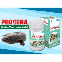 PROCENA Ekstrak Ikan Gabus Kutuk Premium Isi 60kps (Izin POM)
