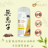 皂皂果首烏人蔘無患子洗髮精 300mL