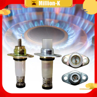 1Pin 2Pin Solenoid Water Heater Gas / Selenoid Valve Kompor Tanam