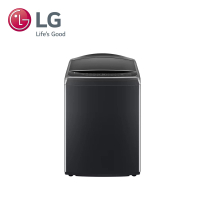 LG 樂金 17公斤◆AI DD™智慧直驅變頻洗衣機 ◆極光黑(WT-VD17HB)