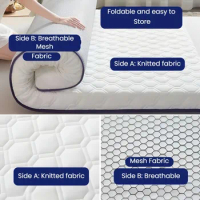 Latex mattress cushioned home thickened dormitory students single tatami mat sponge mattress for rent household mattress
