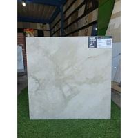 GRANITE LANTAI 60X60 DANTE SLIP STOP | MATTE | NIRO GRANITE
