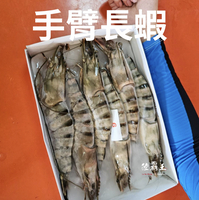 ☆特級手臂蝦6尾 -1公斤/盒☆獨家限量比手臂大的手臂蝦 父親節八八有禮 下標再打88折 【陸霸王】