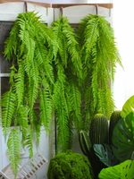 仿真大號蕨類壁掛仿真超長綠色植物背景墻上裝飾櫥窗植物角造布景
