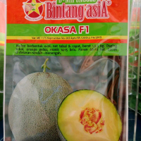 20gr Benih Bintang Asia Okasa F1 Benih Melon Berkualitas Tinggi untuk Pertanian Modern
