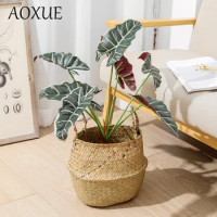 Simulation of 7 Heads Nordic Guanyin Lotus Green Plants Alocasia Leaf Fake Plants Photography Home Living Room Decoration Flower