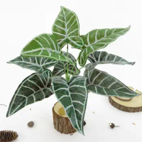 1Pc Artificial Alocasia Leaves Fake plant decorate flowers For wedding home garden Party Decor Plastic plant Artificial grass