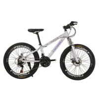 Mountain bike 24-inch/26-inch steel shock absorption Aluminum alloy mountain bikes Variable speed
