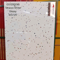 Granit Garuda Gs129S016 60x120 terazo white Glezed polis