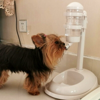 寵物飲水機 貓咪飲水機 寵物不濕嘴狗狗飲水機自動掛式比熊喝水器貓咪餵水器立式水壺用品『my2724』