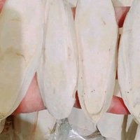 SOTONG ASINAN BURUNG PERKUTUT, PUTER, MERPATI, KENARI, LOVEBIRD 1 bungkus sotong isi 20 gram, ukuran