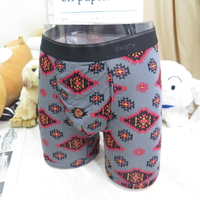 BN3TH 加拿大專櫃品牌 天絲 3D立體囊袋內褲 M1110260626 經典長版【iSport愛運動】