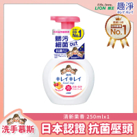 日本獅王LION 趣淨抗菌洗手慕斯 250ml/450ml/800ml 1入#果香250ml-果香250ml