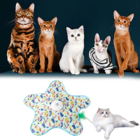 Participatory Auto Puss Toy Clandestineness Game Simulation USB Rechargeable Quiet Play