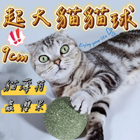 『台灣x現貨秒出』超大顆9公分貓薄荷/蟲癭果貓玩具 寵物玩具 貓貓玩具 貓薄荷球 貓自嗨