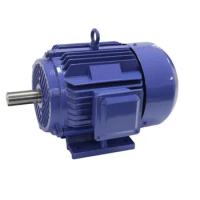Asynchronous Induction Electrical Motor