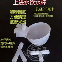 鳥鴿子用自動飲水器飲水碗飲水杯喂水器純熟料 鵪鶉水杯養殖鴿籠