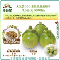 【綠藝家】大包裝G30.玉玲瓏圓茄種子3.5克(約1000顆) 泰國茄子 (一代交配，果實卵圓型)