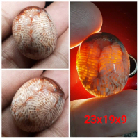Natural Batu Akik Motif Gambar Teratai Jaring Lipan Merah Antik 1