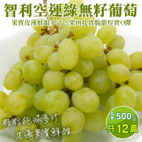 【WANG 蔬果】智利空運綠無籽葡萄500gx12盒(500g/盒)