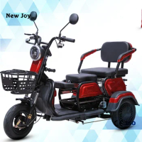 Hot sales DETRITUS 3 wheeler electric bike motor electr adult tricycle 50km/h adult electric tricycle mobility scooter elderly