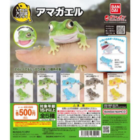 日本BANDAI萬代扭蛋 生物大圖鑑日本雨蛙 全五種 日本青蛙 自然科學教具 青蛙模型 爬蟲類公仔 轉蛋