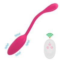 G Spot Massager Wearable Vibrating Egg 10 Modes Vaginal Ball Sex Toys for Women Wireless Remote Control Panties Vibrator