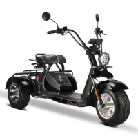 60v adult tricycle Citycoco Adult electric 2000w Electric Tricycles 3 wheel motorcycles 20AH electric motorcycle