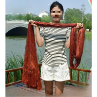 Jaring lempar tangan, jaring lempar tangan, jaring ikan kuno dengan pemberat timah, jaring spiral tr