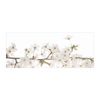 BJÖRKSTA 畫, 白色的花, 140x56 公分